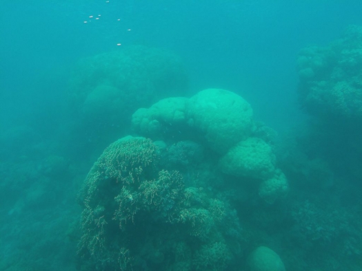 great_barrier_reef